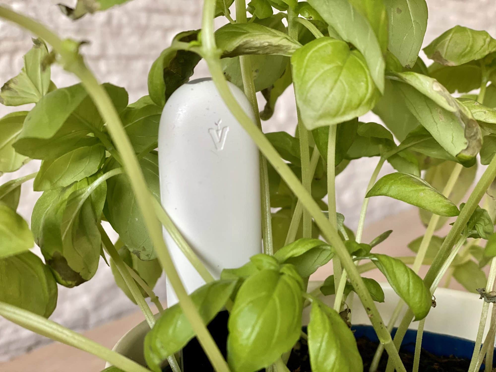 Xiaomi Mi Flora Digital Smart Garten Plant Monitor Boden Pflanzenpflege J6 